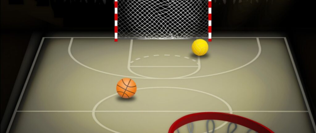 gymnase omnisport
