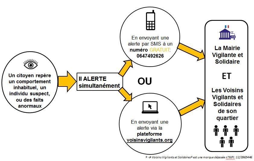 explications voisin vigilant
